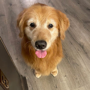 Meet your Posher, Kelly